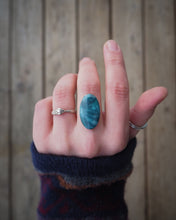 Load image into Gallery viewer, Skaggs Jasper Stone Reservation